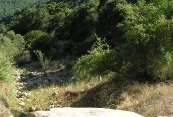 Rancho Oso Rv & Camping Resort غولتا المظهر الخارجي الصورة